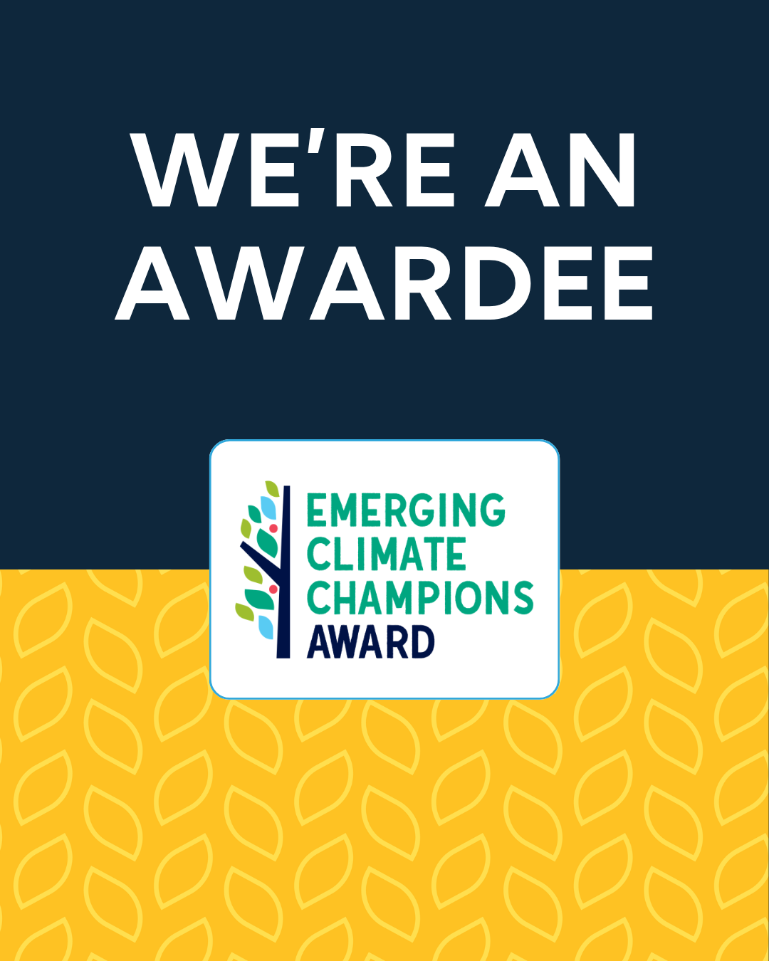Awardee-Announcement-1080x1350 (1).png
